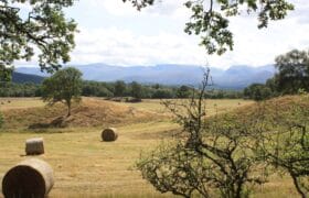 Oakwood Caravan and Camping Park