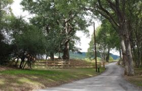 Oakwood Caravan and Camping Park